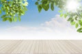 Fresh spring green leaves bule sky with wood floor Royalty Free Stock Photo