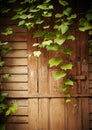 Fresh spring green leaves plants over wooden fence background Royalty Free Stock Photo