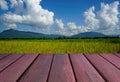 Fresh spring green rice field with wood floor Royalty Free Stock Photo