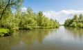 Fresh spring greenery on the banks of a Dutch nature reserve Royalty Free Stock Photo