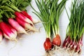 Fresh spring greens for salad: radish and green onions. Royalty Free Stock Photo