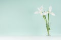 Fresh spring home decor - elegant gentle white flowers of iris in transparent glass vase on green mint menthe wall and white.