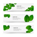 Fresh spring horizontal banners Royalty Free Stock Photo