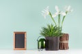 Fresh spring interior with green aloe, candlestick, decorative sheaf of brown twigs, blank photo frame, black books, white flowers