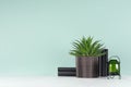 Fresh spring interior with green potted plant of aloe in ribbed black pot, style glass green candlestick, black books on trendy.