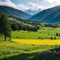 Fresh spring landscape with green meadows and agricultural farmlands on the hills, high snowy mountains in background,