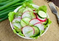 Fresh spring light vegetarian salad with cucumber and radish Royalty Free Stock Photo