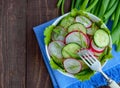 Fresh spring light vegetarian salad with cucumbers and radishes, and green Royalty Free Stock Photo