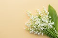 Fresh spring Lily of the valley bouquet on yellow background, sp