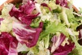Fresh Spring Mix Lettuce Royalty Free Stock Photo