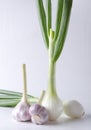 Vertical shot of of fresh green onions,green garlic on the white surface Royalty Free Stock Photo