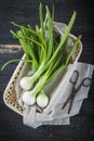 Fresh spring onions and old scissors Royalty Free Stock Photo