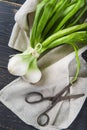 Fresh spring onions and old scissors Royalty Free Stock Photo