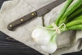 Fresh spring onions and old scissors Royalty Free Stock Photo