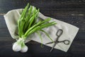 Fresh spring onions and old scissors Royalty Free Stock Photo