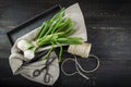 Fresh spring onions and old scissors Royalty Free Stock Photo