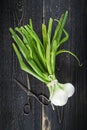 Fresh spring onions and old scissors Royalty Free Stock Photo