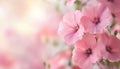 Fresh Spring Pink Flowers Image With Ample Space For Text To Be Inserted Royalty Free Stock Photo