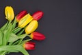 Fresh spring red and yellow tulip bouquet flowers closeup macro in the lower left corner on black background top view w Royalty Free Stock Photo