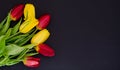 Fresh spring red and yellow tulip bouquet flowers closeup macro in the lower left corner on black background top view w Royalty Free Stock Photo