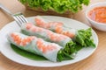 Fresh spring roll with shrimp and dipping sauce, Vietnamese food Royalty Free Stock Photo
