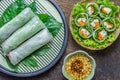 Fresh Spring Roll Royalty Free Stock Photo