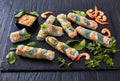 Fresh Spring Roll, Vietnamese Rice Paper Rolls Royalty Free Stock Photo