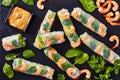 Fresh Spring Roll, Vietnamese Rice Paper Rolls Royalty Free Stock Photo