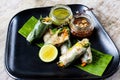 Fresh Spring Rolls with chilli sauce and lime served in a dish isolated on grey background side view of snacks Royalty Free Stock Photo