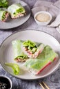 Fresh spring rolls with crab sticks, cucumber and lettuce. Vegetarian food. Vertical view Royalty Free Stock Photo