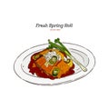 Fresh spring rolls, hand draw sketch vector