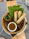 Fresh Spring Rolls with Honey Sauce and Mint Leaves Royalty Free Stock Photo