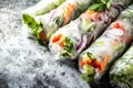 Fresh spring rolls neatly aligned with empty space below for description or offer highlight Royalty Free Stock Photo