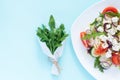 Fresh spring salad with cucumber, tomato, cheese and arugula isolated on a white plate Royalty Free Stock Photo