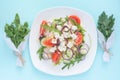 Fresh spring salad with cucumber, tomato, cheese and arugula isolated on a white plate Royalty Free Stock Photo