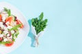 Fresh spring salad with cucumber, tomato, cheese and arugula isolated on a white plate Royalty Free Stock Photo