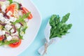 Fresh spring salad with cucumber, tomato, cheese and arugula isolated on a white plate Royalty Free Stock Photo