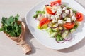 Fresh spring salad with cucumber, tomato, cheese and arugula isolated on a white plate Royalty Free Stock Photo