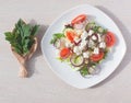 Fresh spring salad with cucumber, tomato, cheese and arugula isolated on a white plate Royalty Free Stock Photo