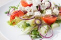 Fresh spring salad with cucumber, tomato, cheese and arugula isolated on a white plate