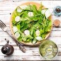 Fresh spring salad Royalty Free Stock Photo