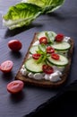 Fresh spring sandwich on a sliced gluten free sunflower bread. Red and green vegetables on black slate. Cucumber, chili and