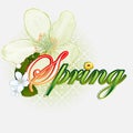 Fresh spring scene background with Spring text garnished by beautiful white flowers