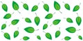 Fresh spring seamless eco background with green  leaves Royalty Free Stock Photo