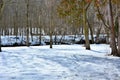 Fresh Spring Snow with footbridge in distance Royalty Free Stock Photo