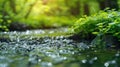 Fresh Spring Stream with Lush Greenery - Abstract Horizontal Banner for Nature Concepts and Wild Outdoors Royalty Free Stock Photo