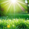 fresh spring sunny garden background of green grass and blurred natural