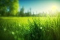 Fresh spring sunny garden background of green grass, trees and blue sky on a sunny day. generative ai Royalty Free Stock Photo