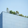 Fresh spring tree on rooftop garden modern architecture condo urban natural friendly building glass wall facade decoration Royalty Free Stock Photo