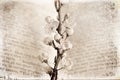 Spring twig with white apple blossoms on the book Royalty Free Stock Photo